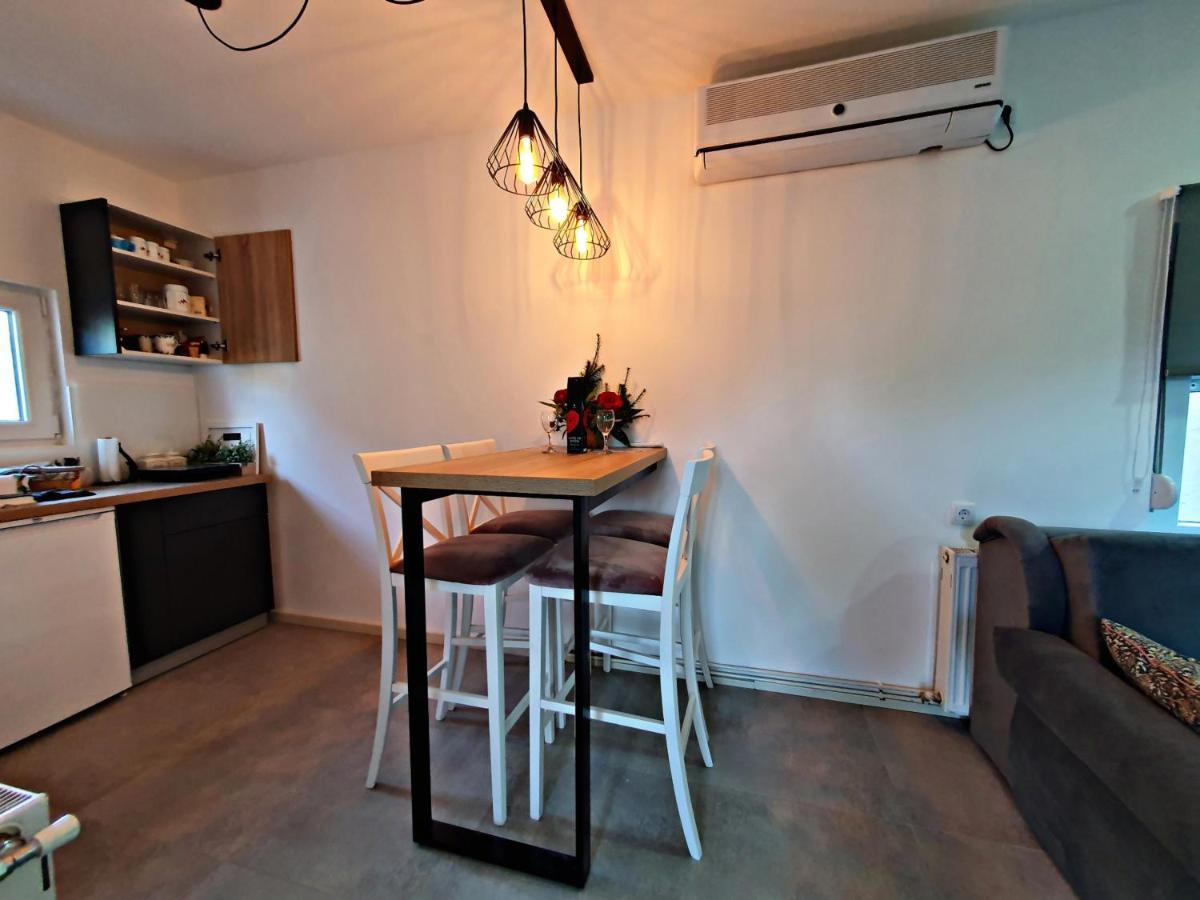 Luxor Apartmani 2 Vrnjacka Banja Bagian luar foto